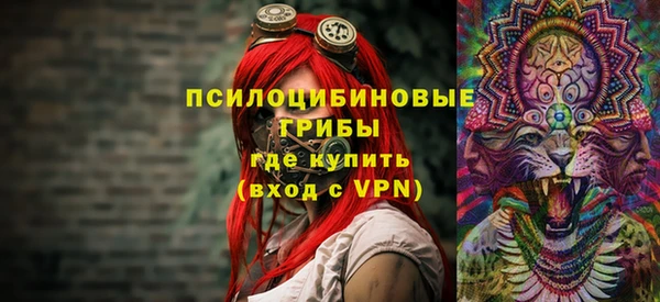 молекула духа Горно-Алтайск
