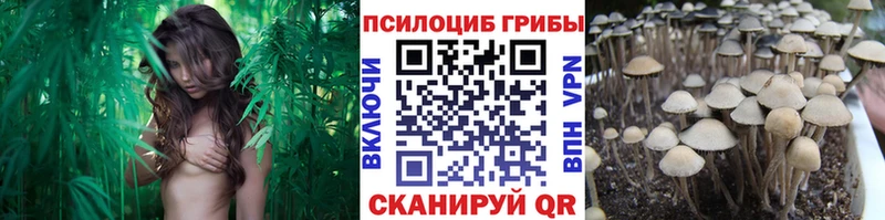 Купить  Кувандык  Галлюциногенные грибы ЛСД 